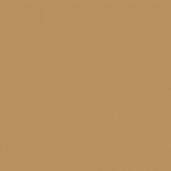 Sherwin Williams Wall Paint - Classical Gold