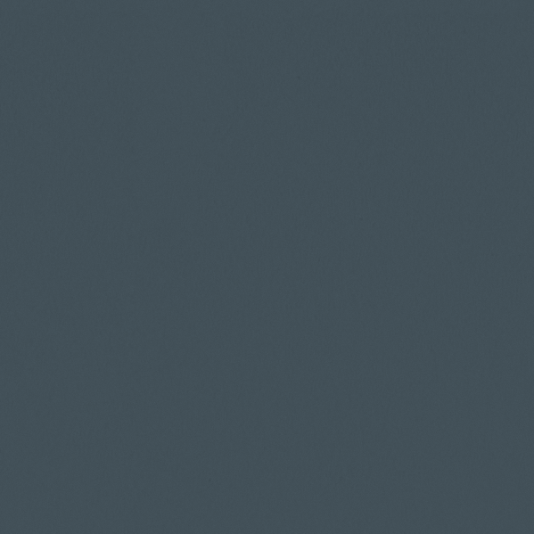 Sherwin Williams Wall Paint - Needlepoint Navy