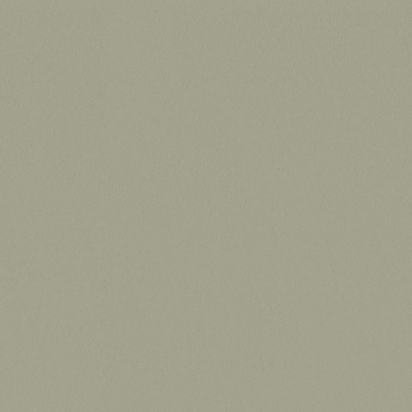 Sherwin Williams Wall Paint - Acanthus