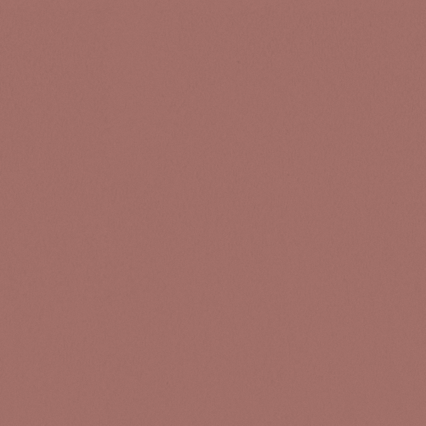 Sherwin Williams Wall Paint - Rosedust