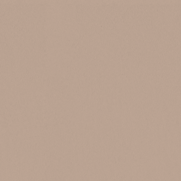 Sherwin Williams Wall Paint - Aristocrat Peach