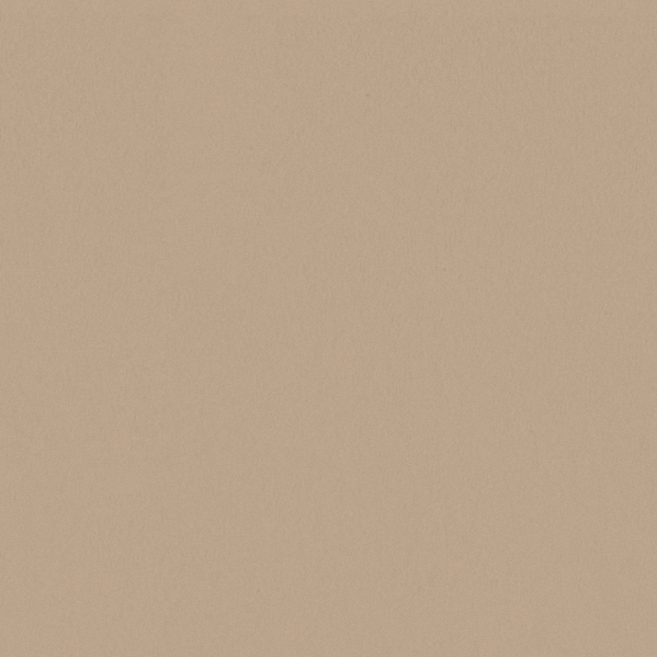 Sherwin Williams Wall Paint - Caen Stone