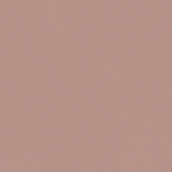 Sherwin Williams Wall Paint - Rachel Pink