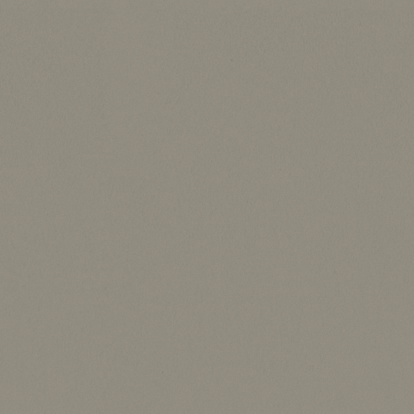 Sherwin Williams Wall Paint - Silver Gray