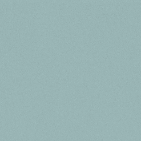 Sherwin Williams Wall Paint - Swimming