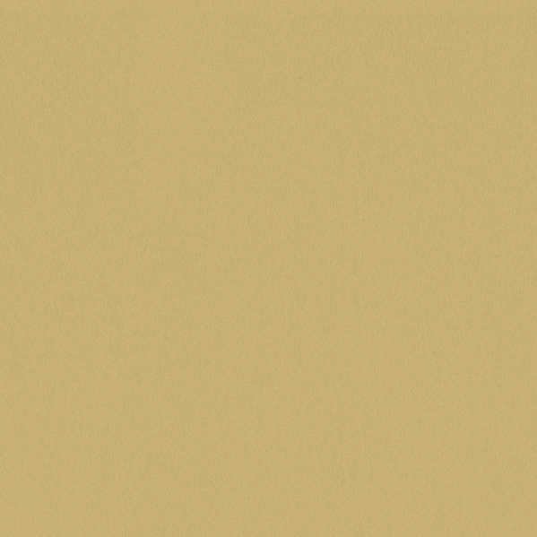 Sherwin Williams Wall Paint - Sunny Veranda