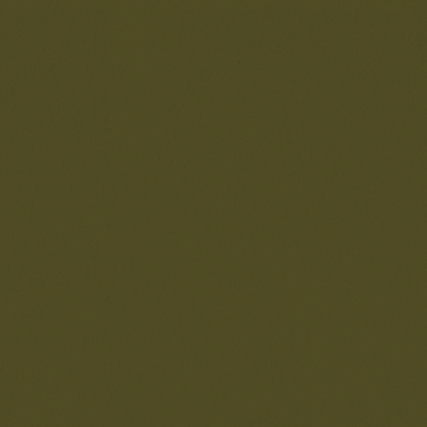 Sherwin Williams Wall Paint - Saguaro
