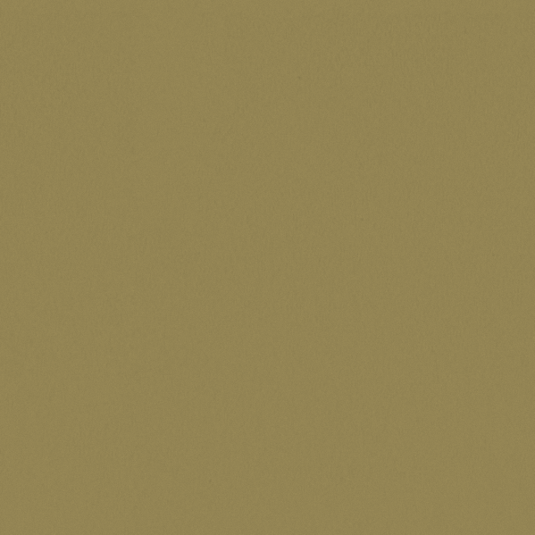 Sherwin Williams Wall Paint - Sassy Green
