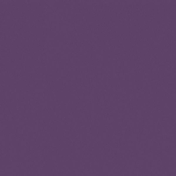 Sherwin Williams Wall Paint - Passionate Purple