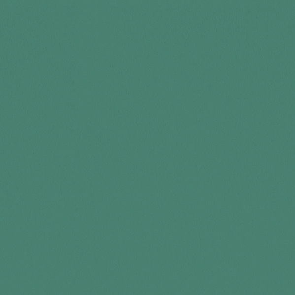 Sherwin Williams Wall Paint - Jargon Jade