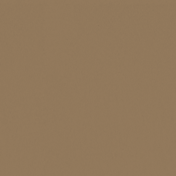 Sherwin Williams Wall Paint - Woven Wicker
