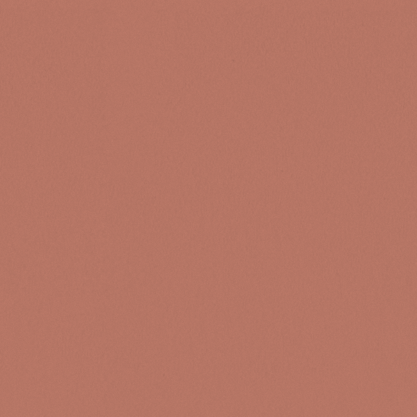 Sherwin Williams Wall Paint - Ravishing Coral