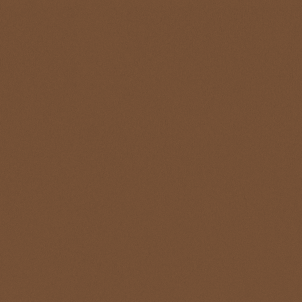Sherwin Williams Wall Paint - Antiquarian Brown