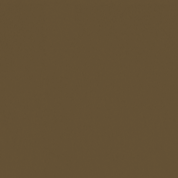 Sherwin Williams Wall Paint - Mossy Gold