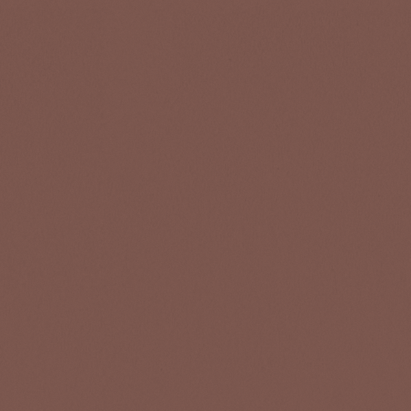 Sherwin Williams Wall Paint - Reddened Earth