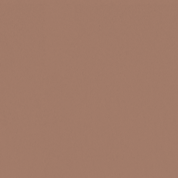 Sherwin Williams Wall Paint - Rose Tan