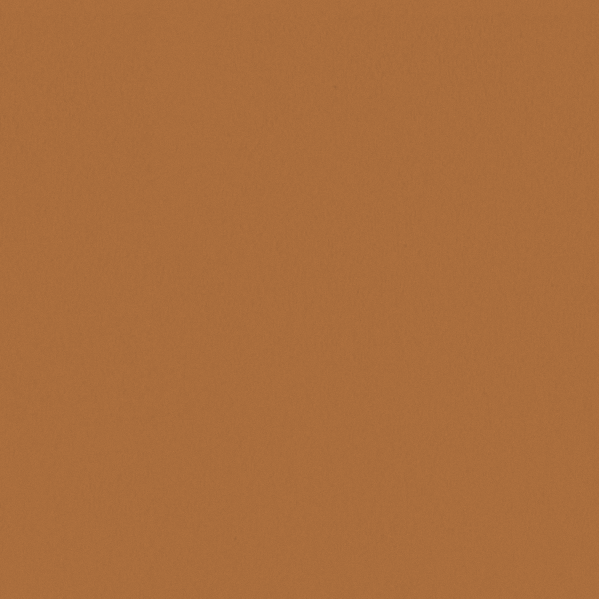 Sherwin Williams Wall Paint - Serape