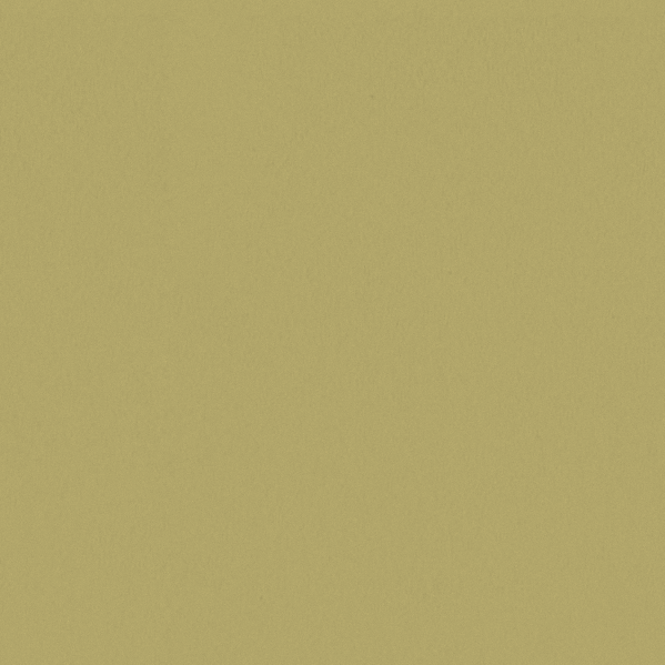 Sherwin Williams Wall Paint - Chartreuse