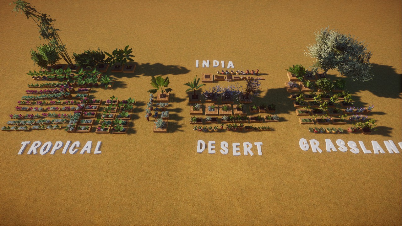 Potted plant pack - India