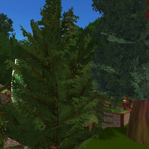 Forest Mayhem