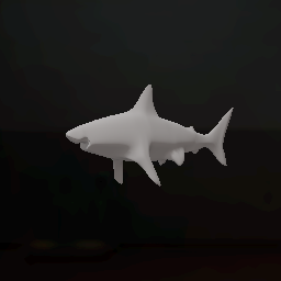 Shark Model From Like 6 Years Ago