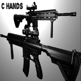 HK416 (C Hands)