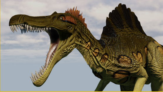 Amazon Stories - Anaconda Spino
