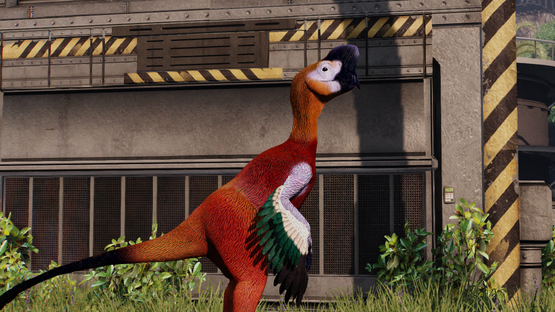 Harlequeen Oviraptor