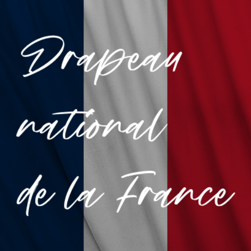 Accurate French Flag