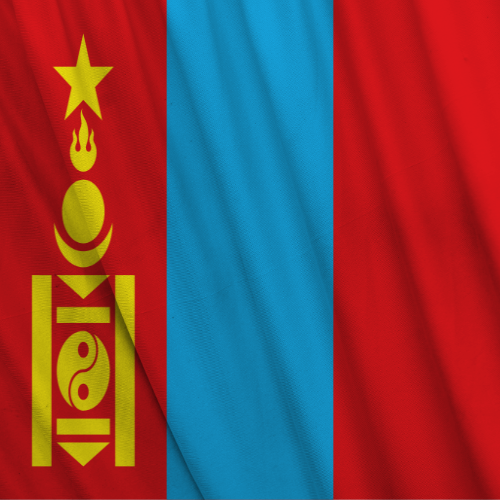 Accurate Communist Mongolia Flag