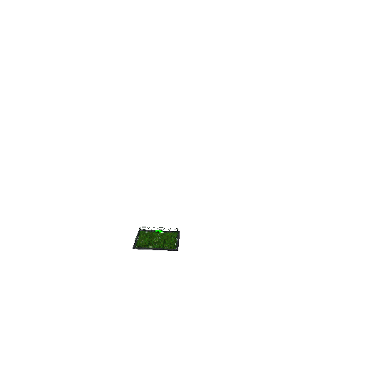 Mini Stadium
