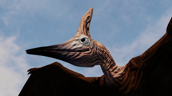 African Legends - Vulture Pteranodon V2