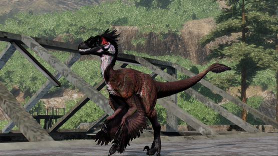 Red-Whiskered Novaraptor