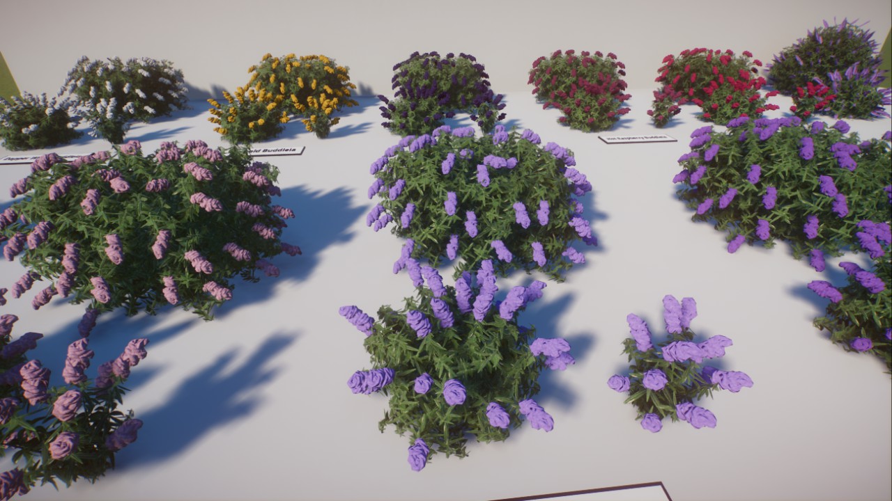 Buddleia/Butterfly Bush - CaptainCallum's Custom Foliage