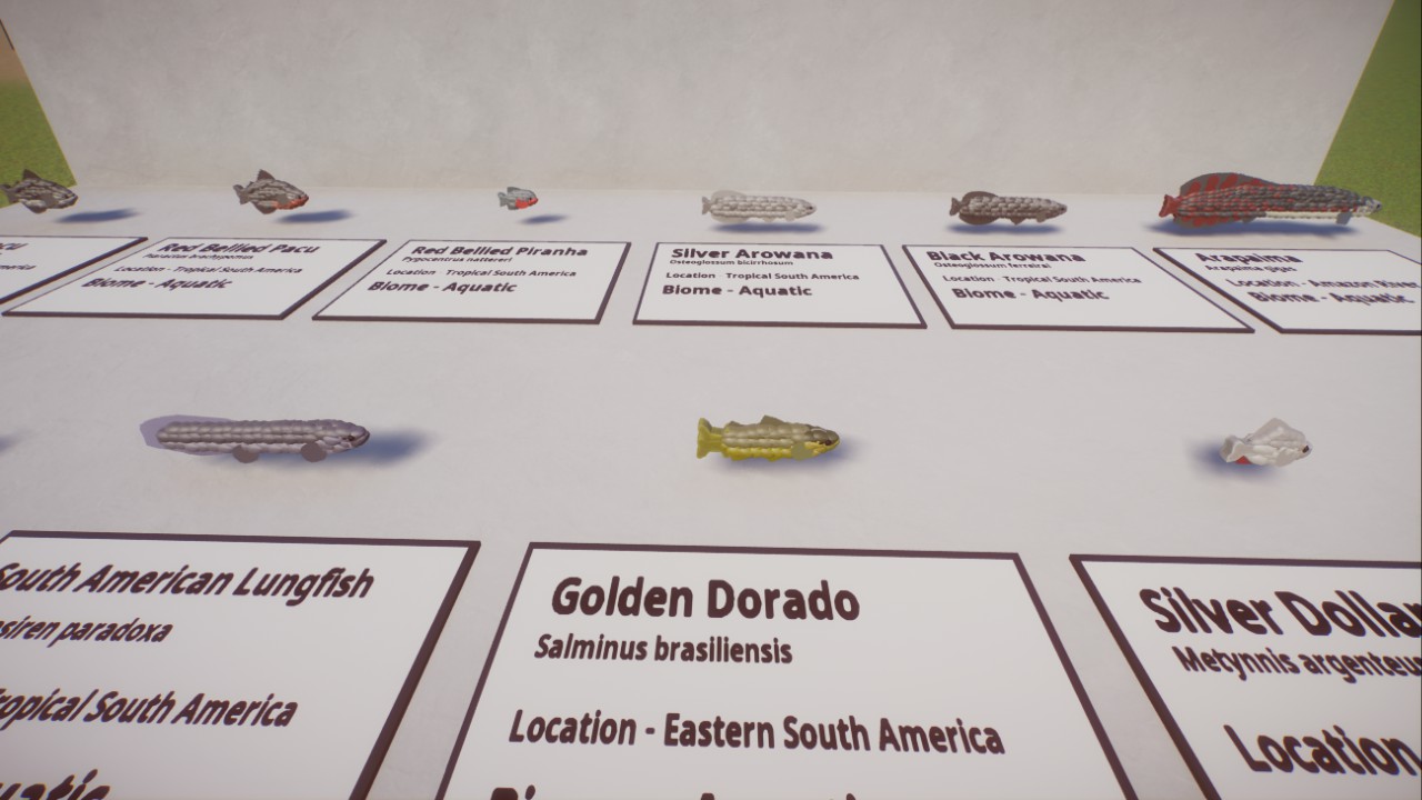 South American Fish - Freshwater Fish