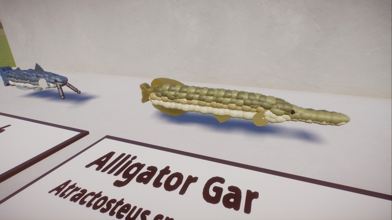 North American Fish - Freshwater Fish
