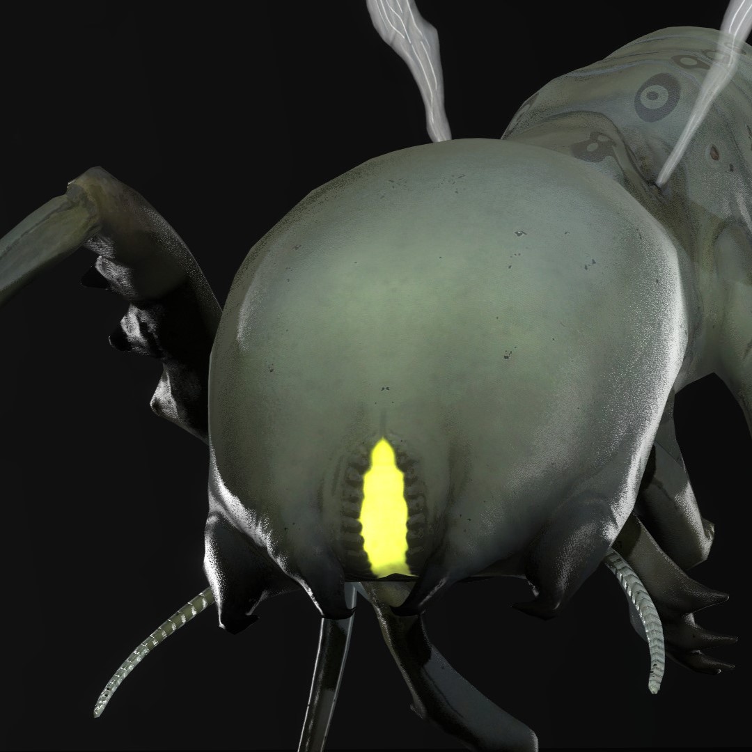 Improved Antlion Worker