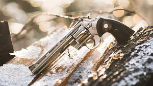 legendary 357 skin