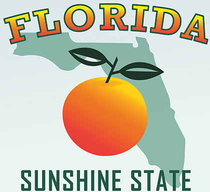 Survive in Florida preview