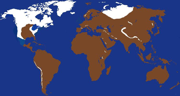 (Fallout) 2265 What if the Enclave won in fallout 2