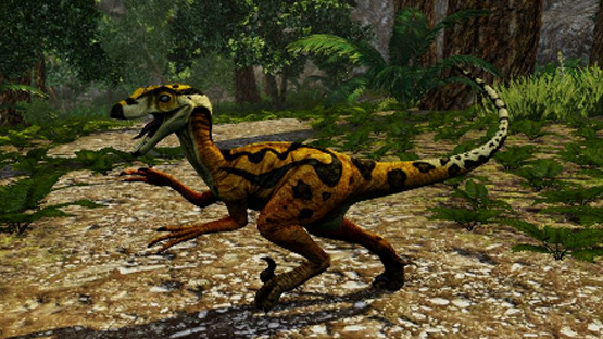 Banded Novaraptor