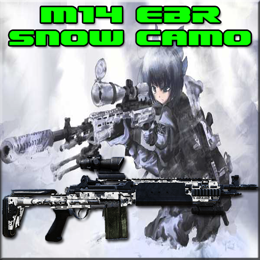 M14 EBR Snow Camo