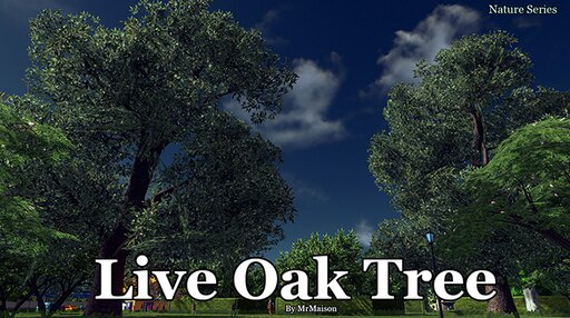 大黒摩季 LIVE NATURE #3 Amazon.co.jp: LIVE NATURE#3 Special Rain or Shine [DVD
