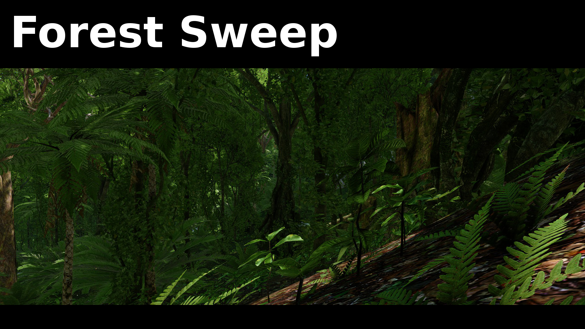 Forest Sweep