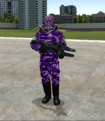 pashalko_forces