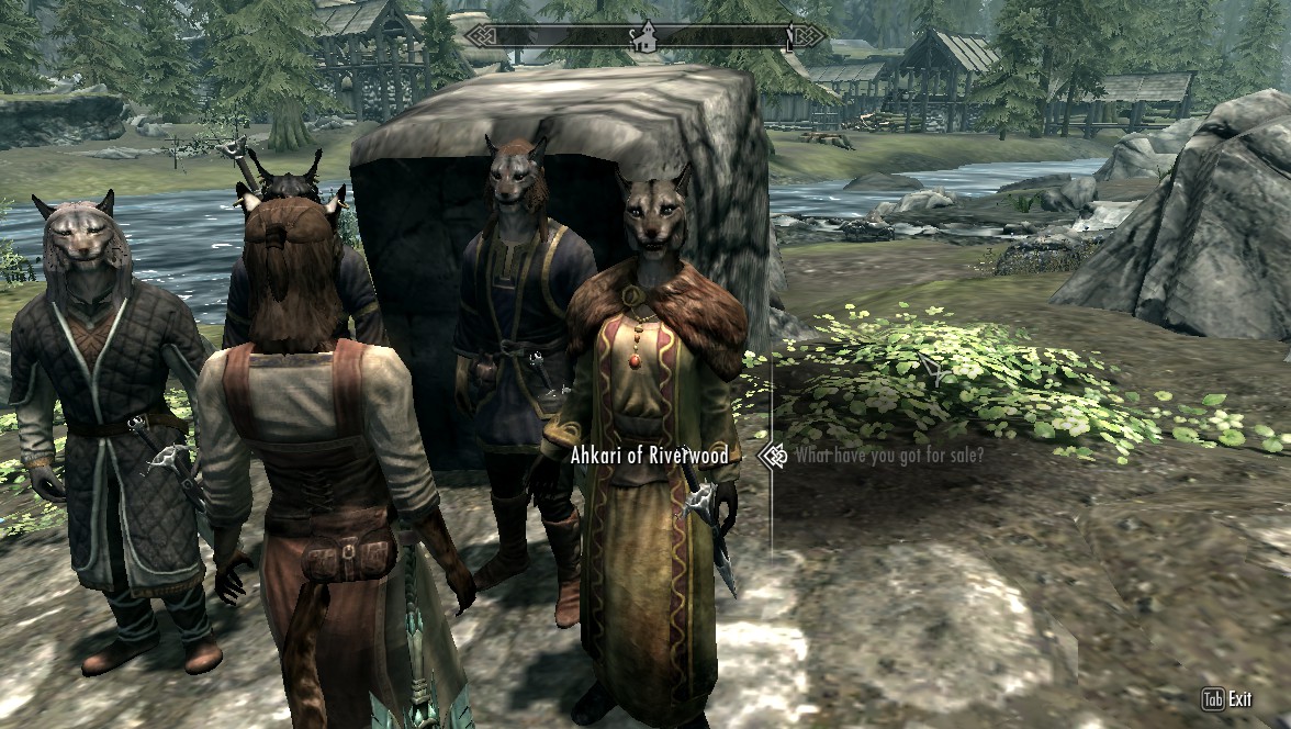 Book 27 - Riverwood Khajiit Caravan - High King of Skyrim