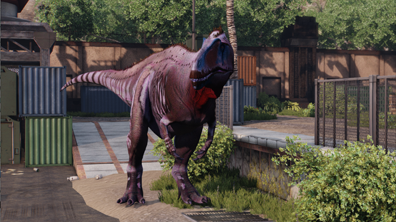 Selin Acrocanthosaurus