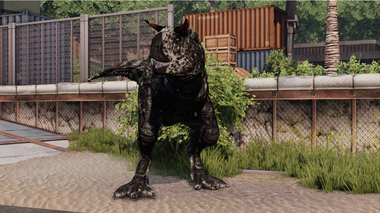 Black Longhorn Carno