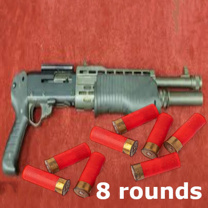 8 rounds shotgun
