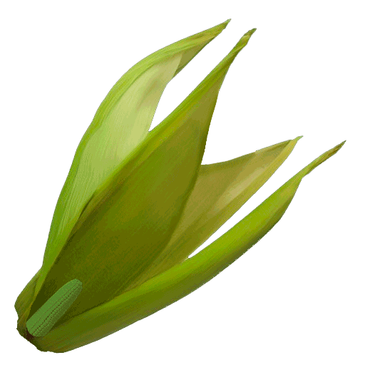 growingСorn